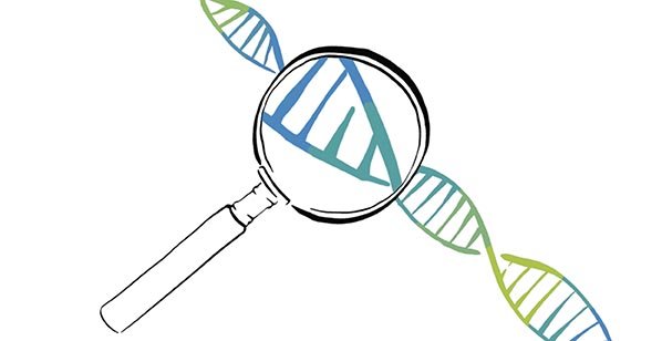 Gene Editing Writes New Chapter for Industry