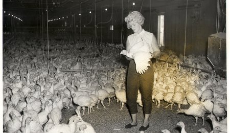 1960's woman turkey barn
