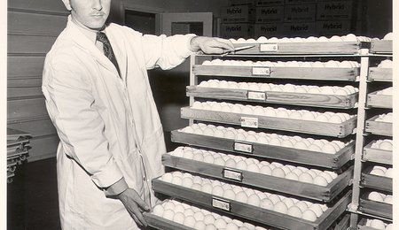 1970 egg tray man - 2
