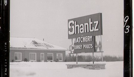 1970's Shantz office