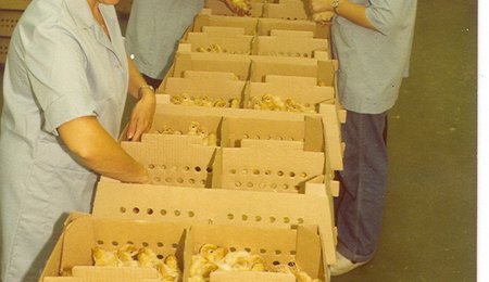 1970's poult workers-3