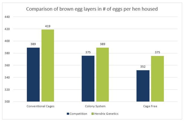 1b graph brown eggs HH.jpg