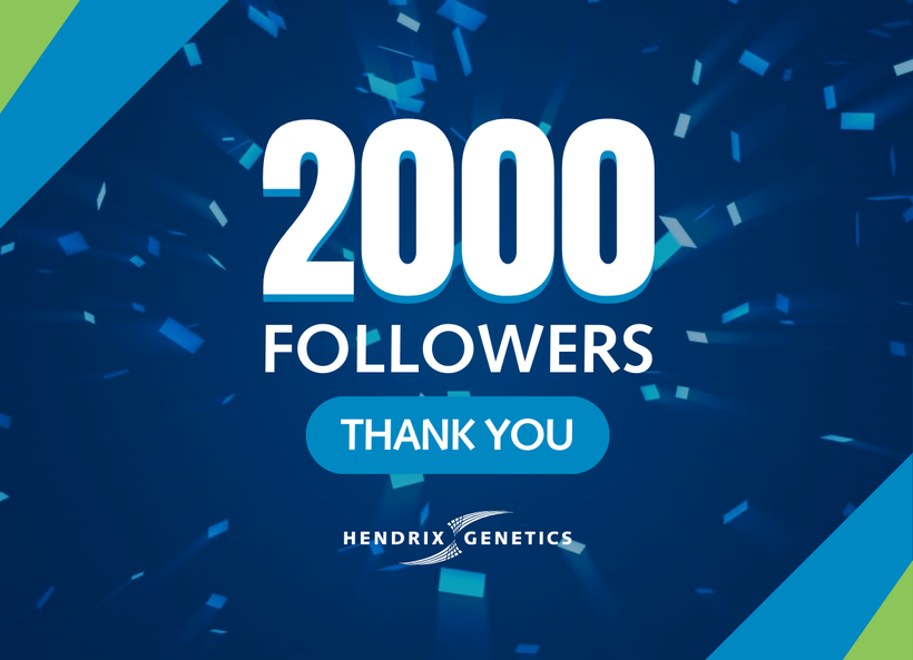 Thank You to Our 2,000 Followers!