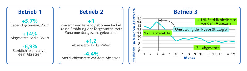 200325_HYPOR_Libra_star_Farrowing_management_strategies_picture_DE.jpg