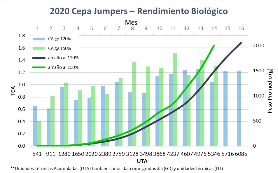 2020 Jump (SP).jpg
