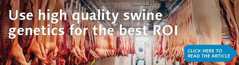 Use high quality swine genetics for the best ROI