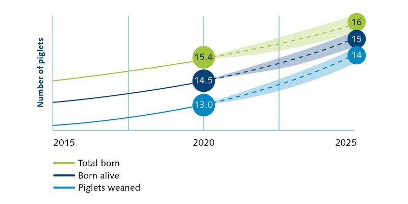 Libra Benchmark graph 2020.jpg