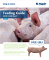 220545_HYPOR_FeedingGuide_SowAndGilt_Libra_A4_EU_US_DIGI
