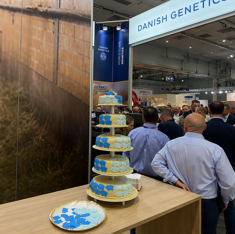 Two Years of Building the Future of Swine Genetics