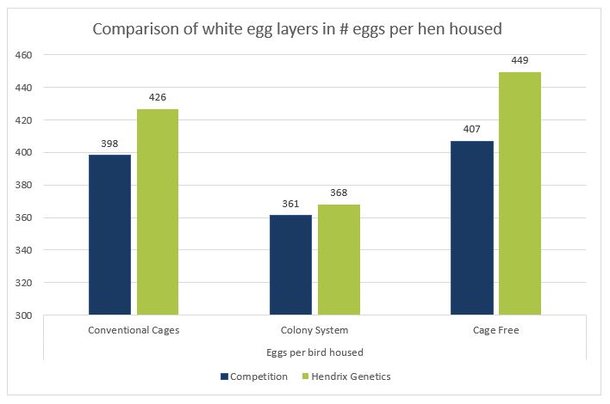 2b graph white eggs HH.jpg