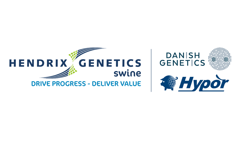 Shaping the Future of Swine Genetics: The Hendrix Genetics Swine Story