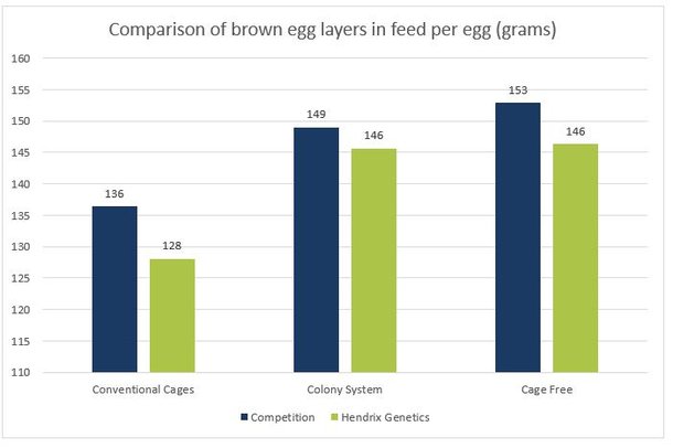 3b graph brown feed per egg.jpg