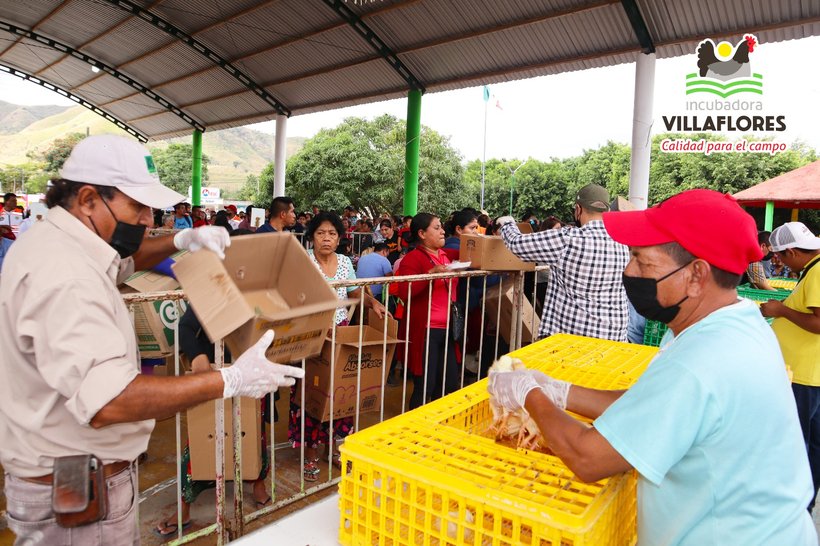 Apoyando el éxito de los clientes en el mercado avícola de América Central y del Sur