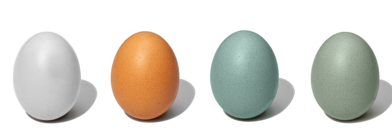 4 Eggs_Freestanding_retouch_.jpg