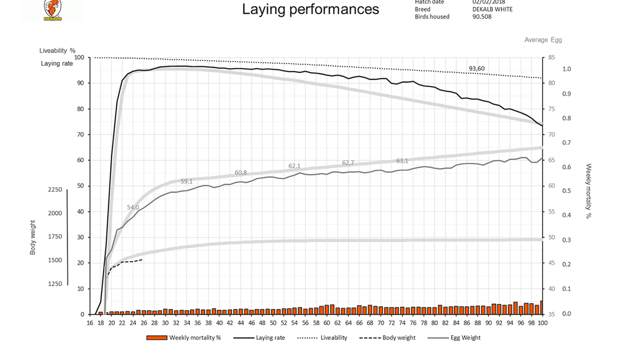 500 Eggs Honduras Laying Performance REVISED.png