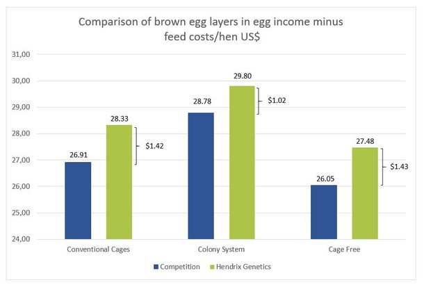 5b graph brown egg income.jpg