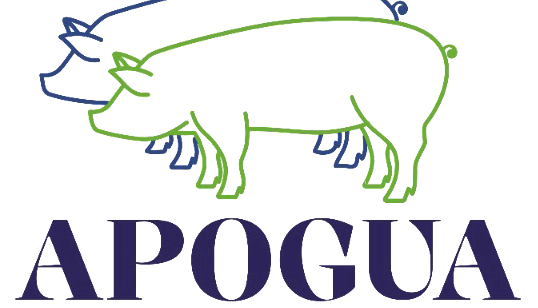 Apogua