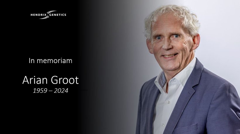 In Memoriam : Arian Groot