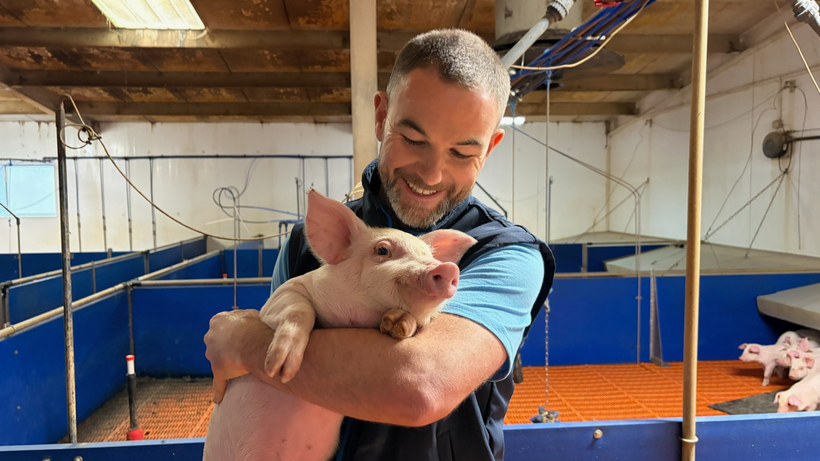 Ashleigh Farms Demonstrates the Value of Predictable Performance with Danish Hybrid, a Hendrix Genetics Swine F1*