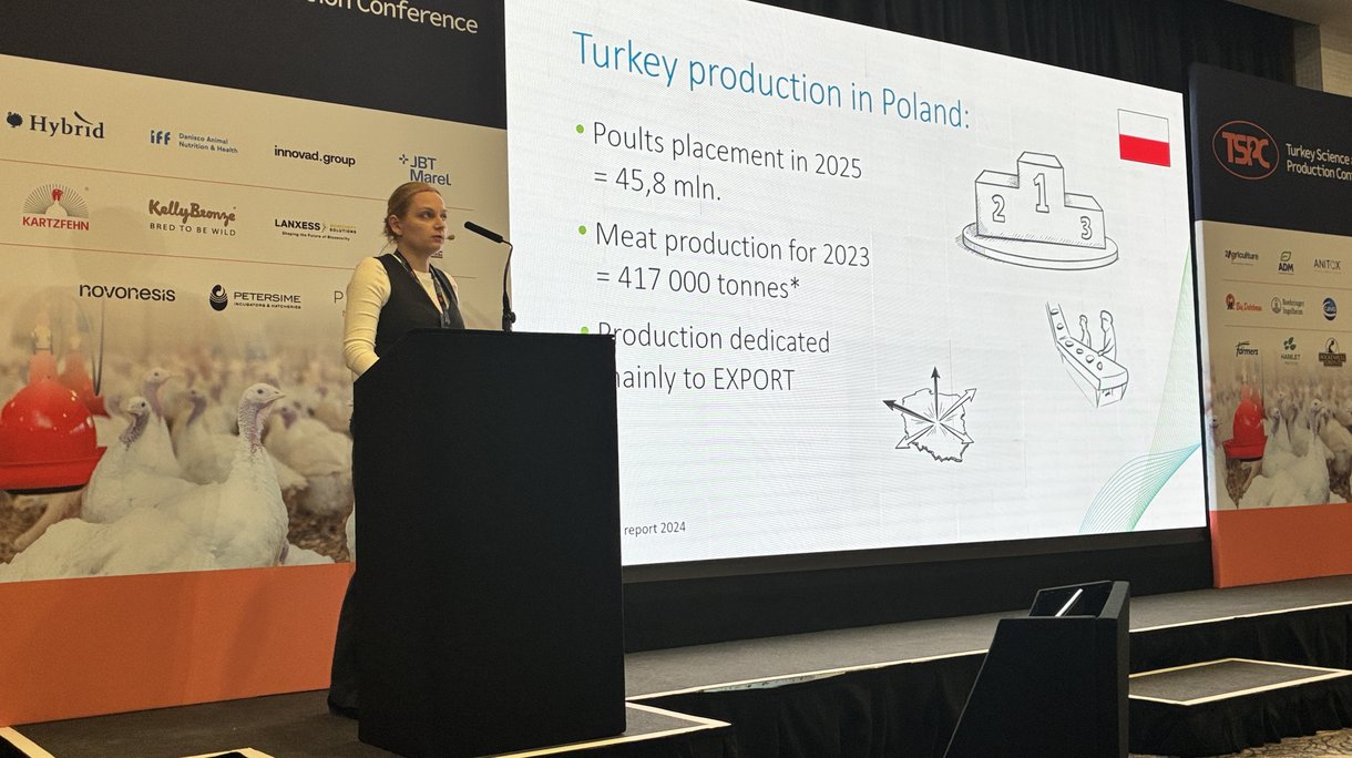 Beata presenting TSP 2026