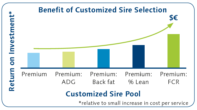Benefit of Customized Sire Selection