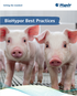 BioHypor Best Practices Feb 2024