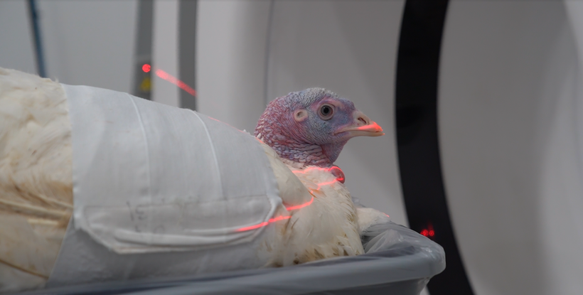 Accelerating Genetic Progress: New Milestones Reached