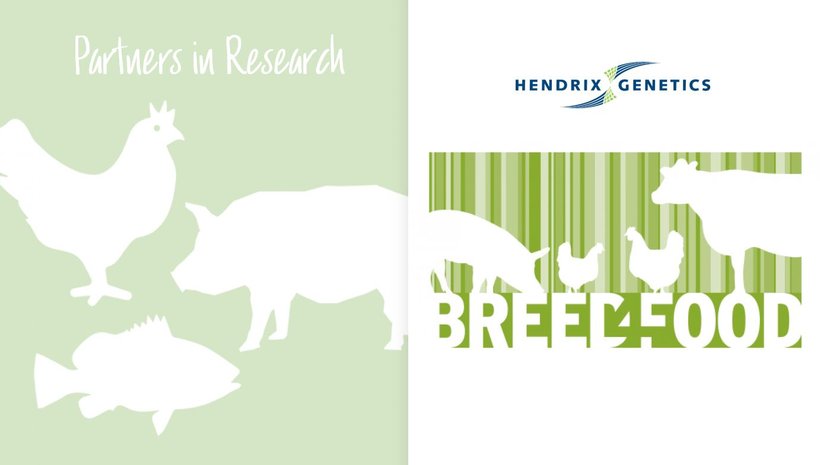 Partners in Research: Breed4Food