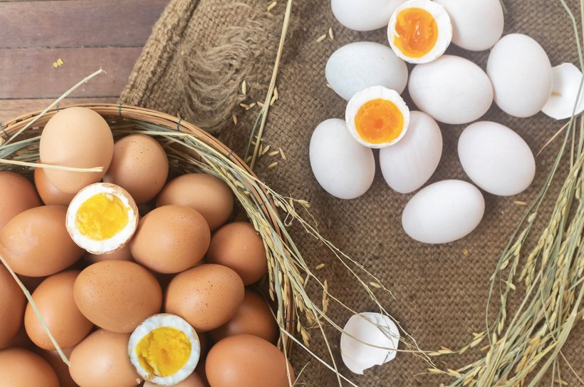 Is there a difference in nutrient composition of brown and white eggs?