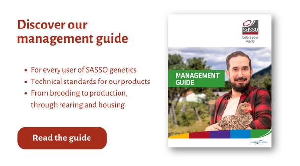 CTA SASSO Africa - EN management guide