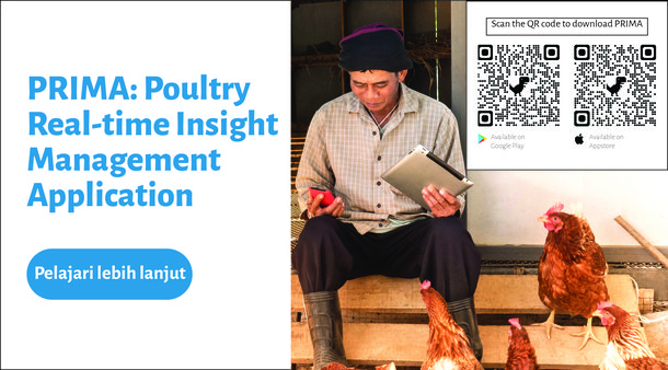 PRIMA: Poultry Real-time Insight Management  Application Indonesia