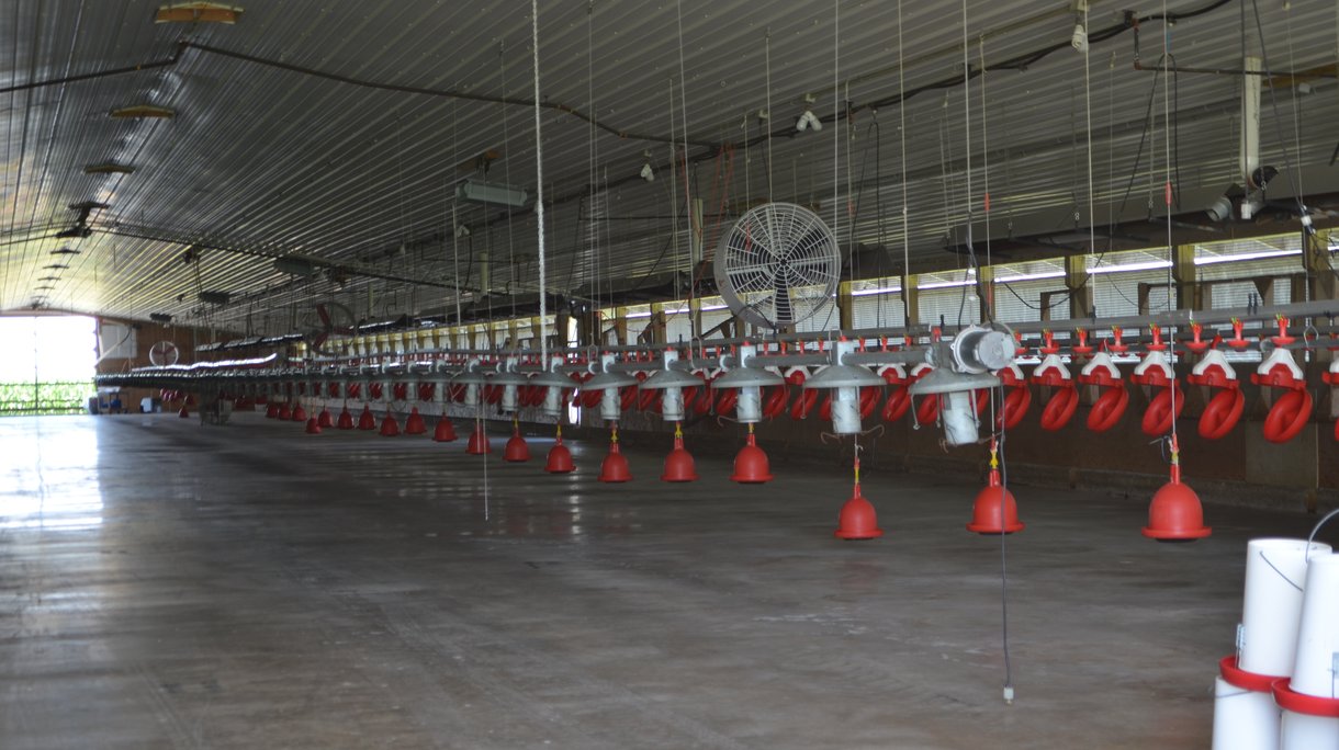 barn cleaning and disinfection