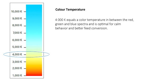 LED color temperature scale