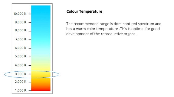 color temp breeder LED