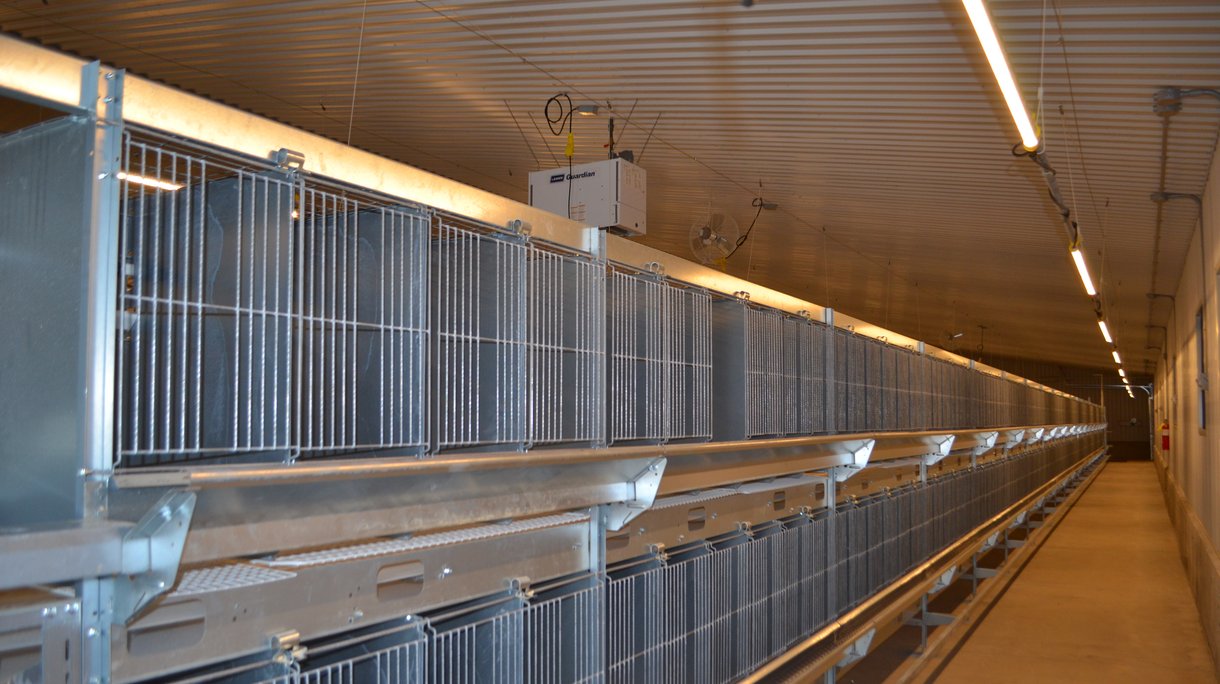 maple lane individual housing