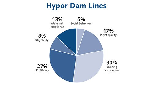 Dam Lines Selection index_new.jpg