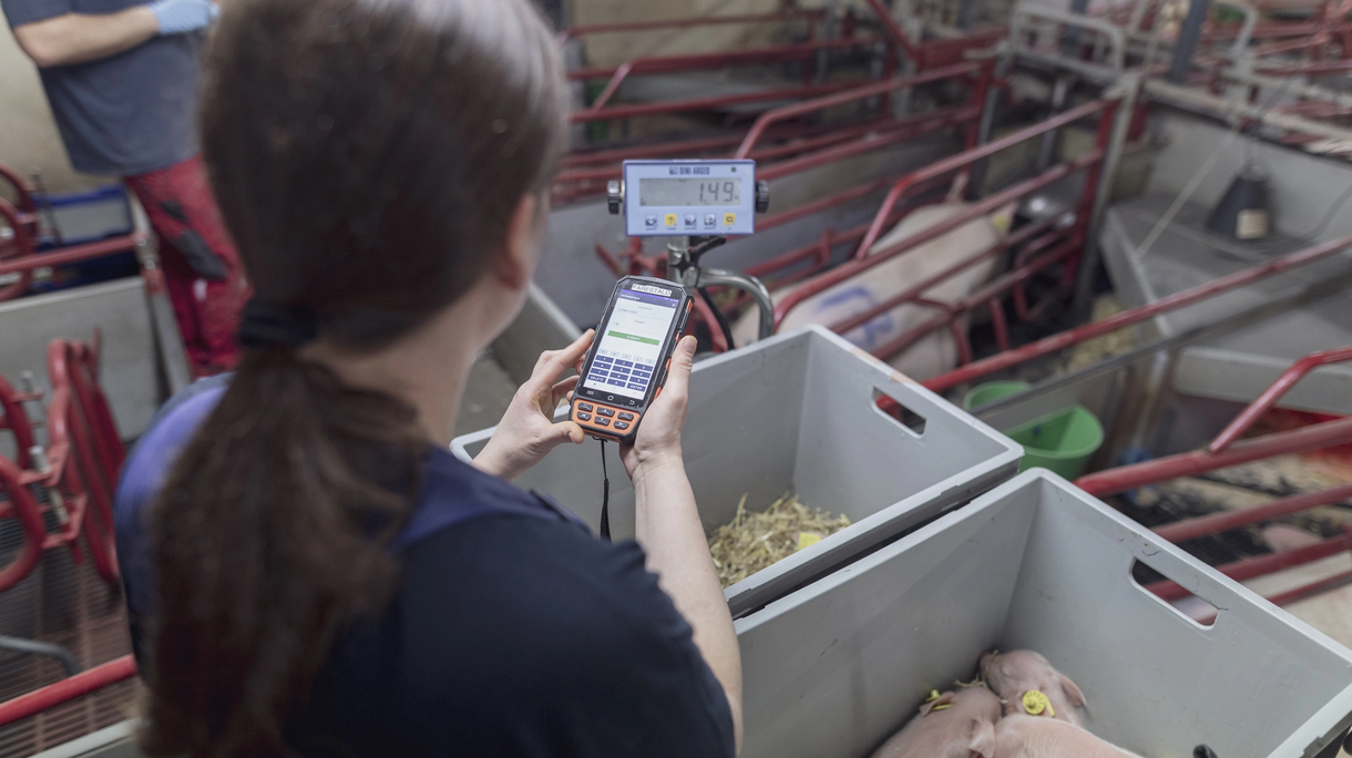 Danish Genetics test