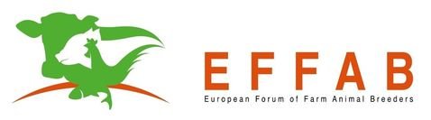 EFFAB_logo.jpg