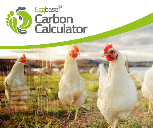 Eggbase-Carbon-Calculator-white