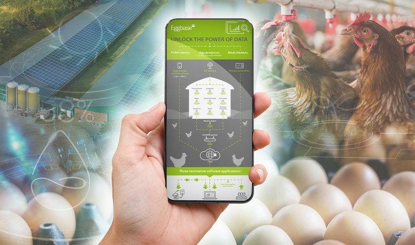 Hendrix Genetics benefits from using software from UK poultry data company, Eggbase Ltd