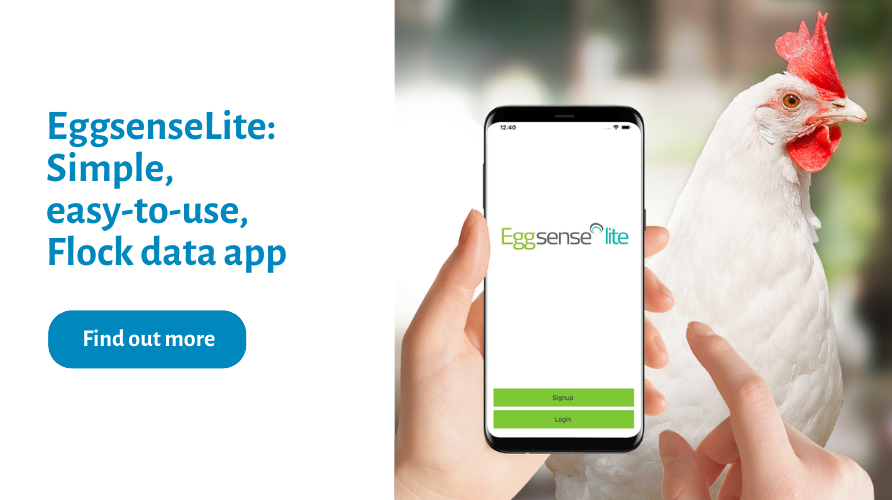 EggsenseLite_Homepage CTA banner_900x500px