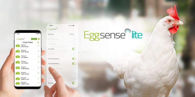 Introducing Eggsense Lite: A New Tool to Unlock the Power of Farm Data