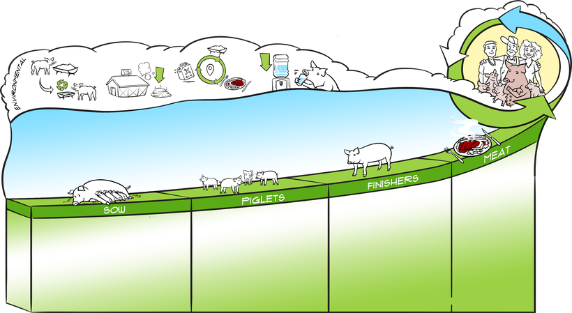 Sostenibilidad medioambiental: la huella ecológica de la alimentación porcina