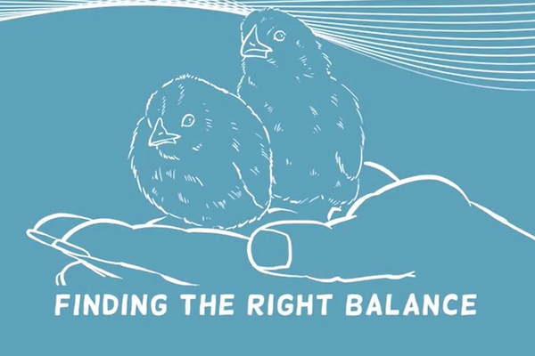 Finding the right balance
