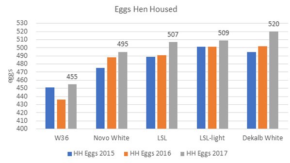 Gunma eggs HH.jpg