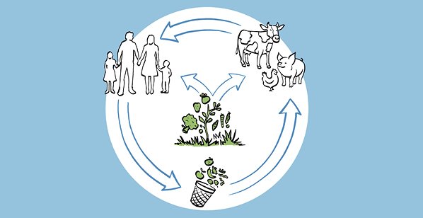 The cycle of feed and food, what is sustainable long term?
