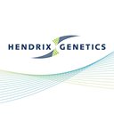Hendrix Genetics profile image.jpg