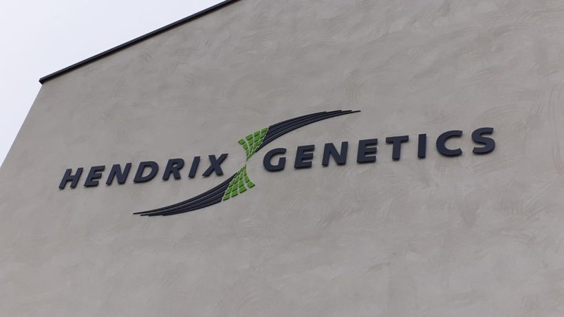 Paine Schwartz macht strategische Investition in Hendrix Genetics