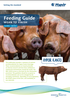HYPOR Kanto Wean to Finish global metric cover