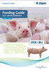 HYPOR Libra Feeding Guide Gilt Development cover